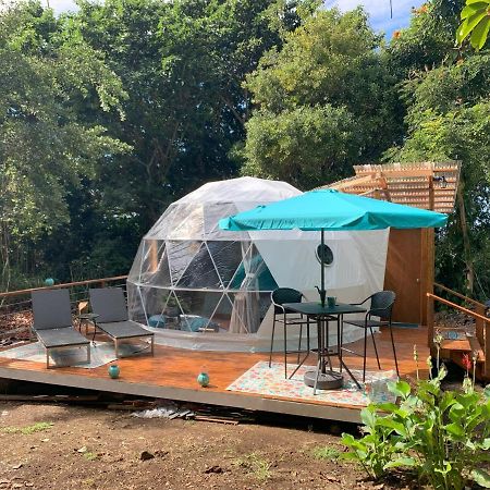 Manta Soul Jungle Geodome Hotel Kealakekua Exterior foto